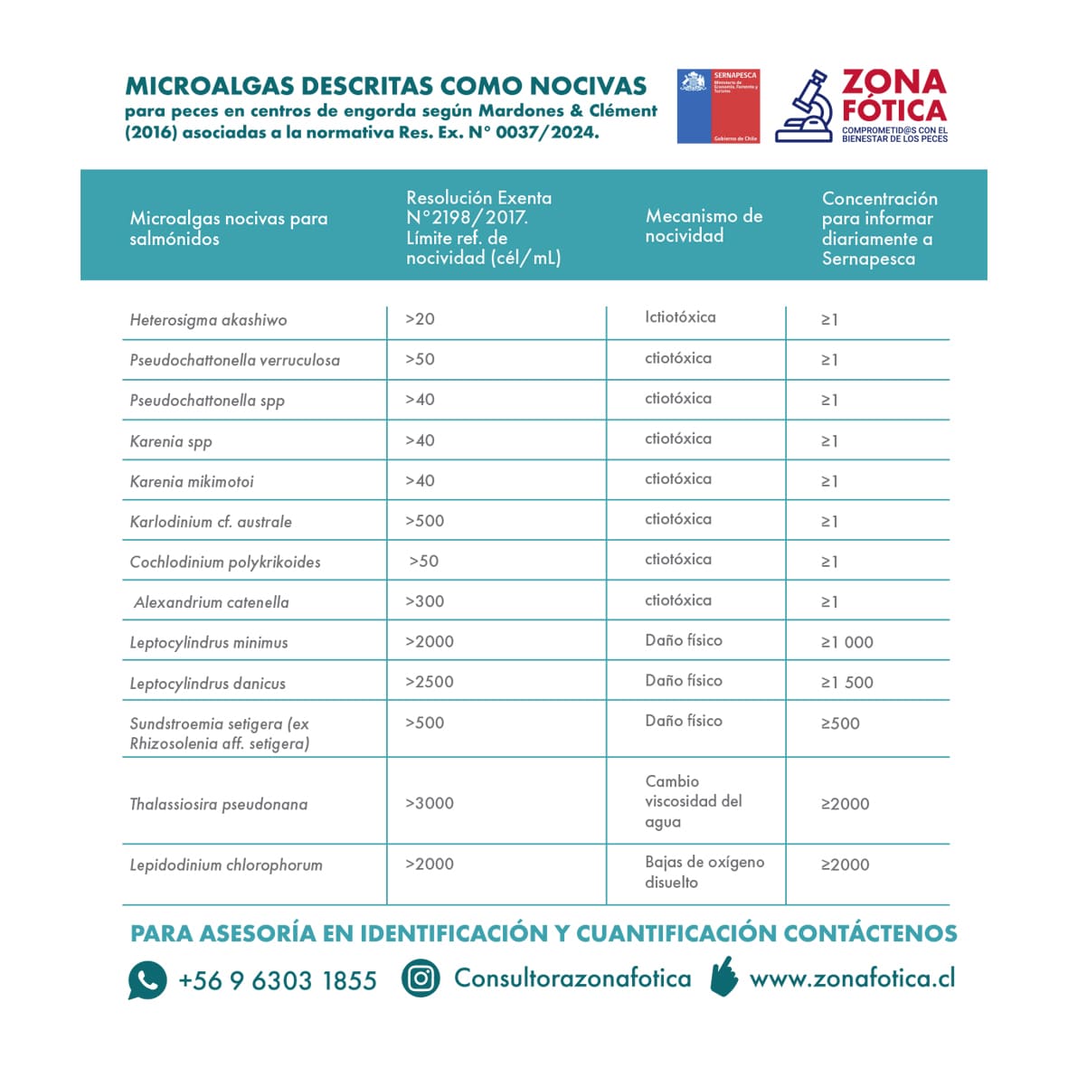 tabla