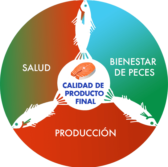 bienestarpeces