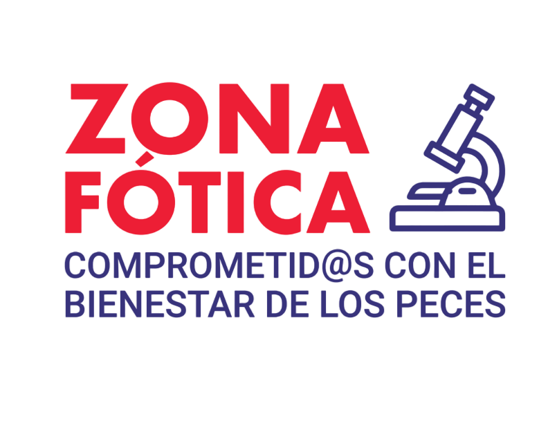 logo transparente